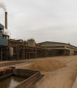 استخراج فلزات ارزشمند از کیک روی و بازیافت پسماندهای آن به خاک کشاورزی