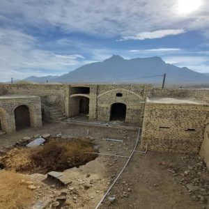 بومگردی قارنه